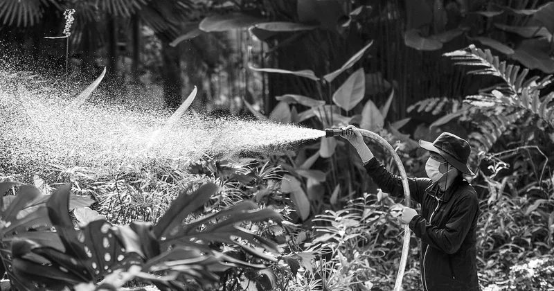 Planter, arroser, ne pas inonder le voisin