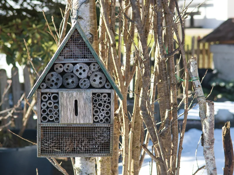 Matériaux écologiques : le bon choix pour le climat et votre portefeuille